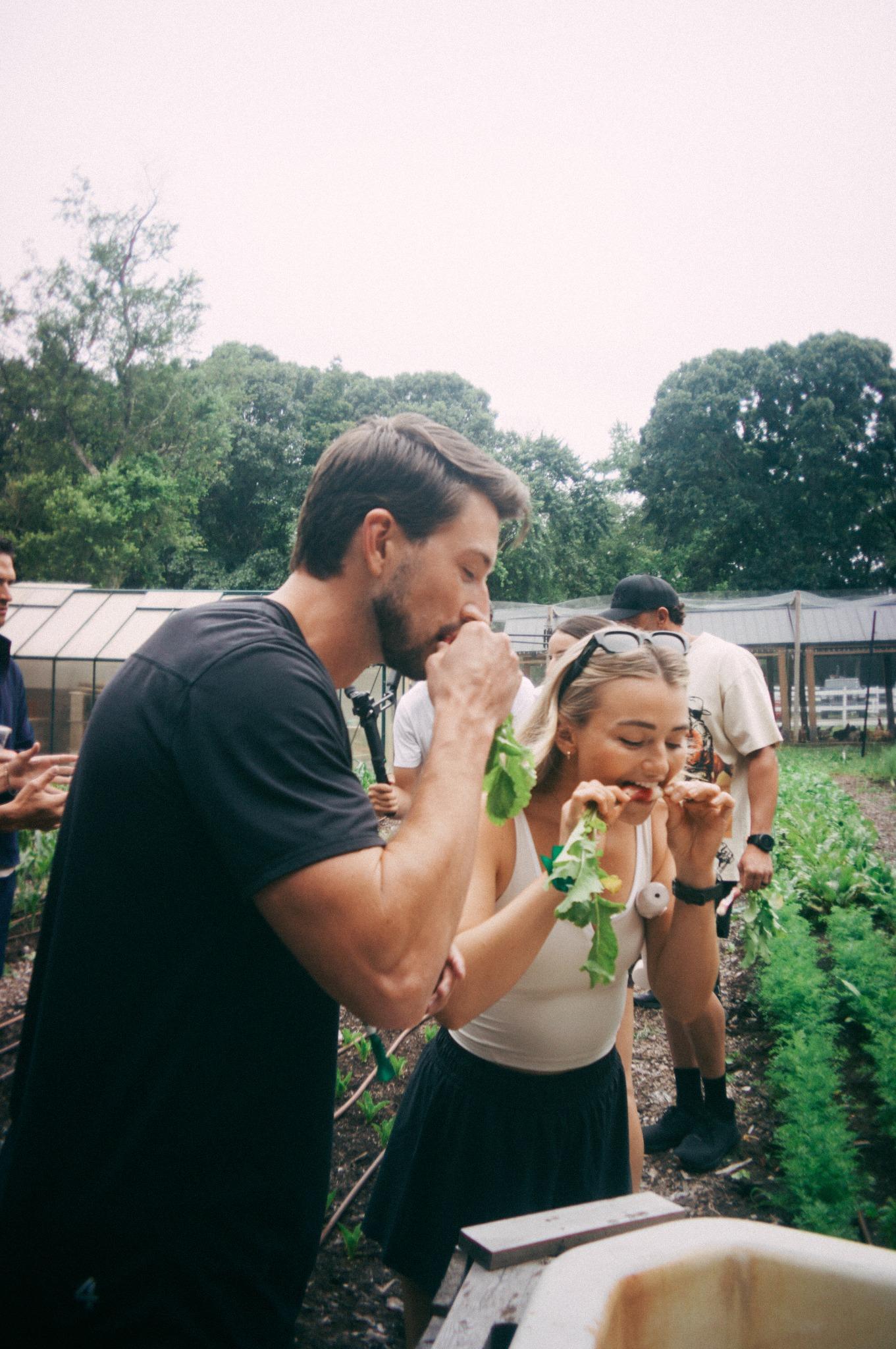 Our Mission – The DML Group Foundation
